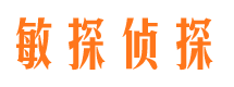 海晏市婚外情调查